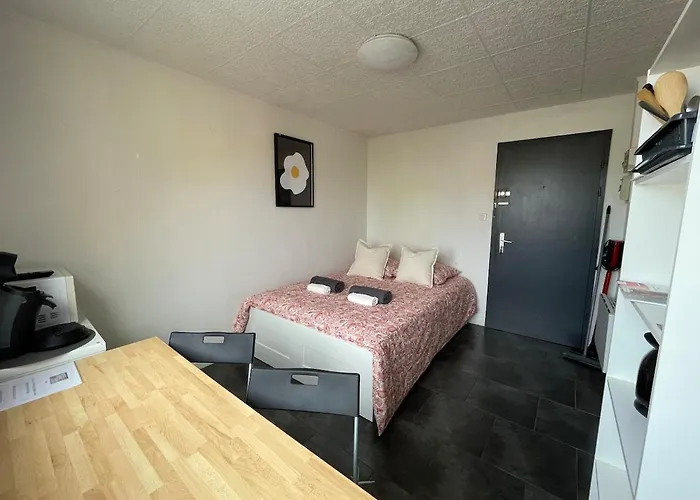 Easycolmar アパート コルマール